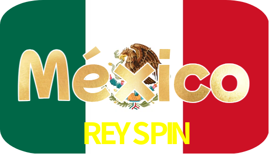 REYSPIN Logo